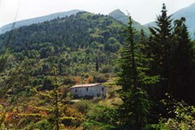 Monte Petrano - panorama