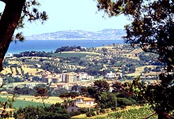 Senigallia - colline: durante la guerra noi ci eravamo trasferiti da quelle parti, quelle che si vedono in primo piano