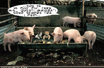 Immigrati