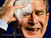 Piccione bombarda Bush...