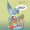 Gianconiglio: come risultava, dopo diversi<br>            anni di studi e miglioramenti